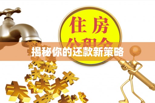 隆昌揭秘你的还款新策略