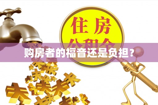 隆昌购房者的福音还是负担？