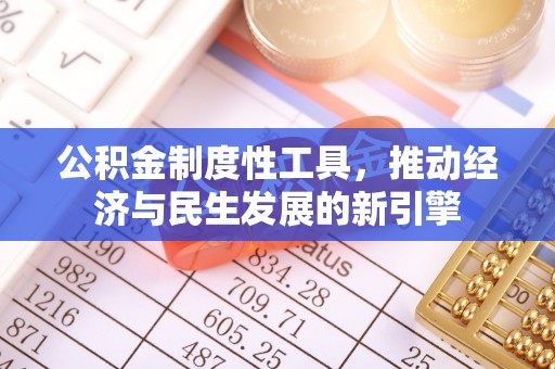 隆昌公积金制度性工具，推动经济与民生发展的新引擎
