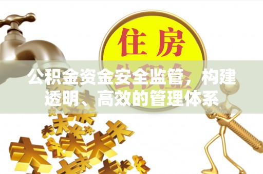 隆昌公积金资金安全监管，构建透明、高效的管理体系