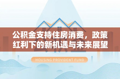 隆昌公积金支持住房消费，政策红利下的新机遇与未来展望