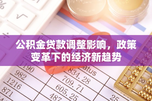 隆昌公积金贷款调整影响，政策变革下的经济新趋势
