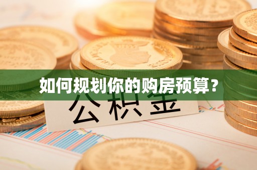 隆昌如何规划你的购房预算？