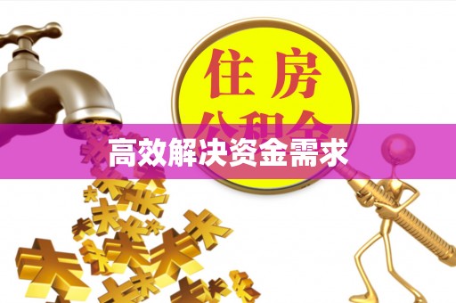隆昌高效解决资金需求