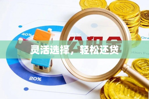 隆昌灵活选择，轻松还贷