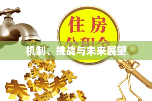 隆昌机制、挑战与未来展望