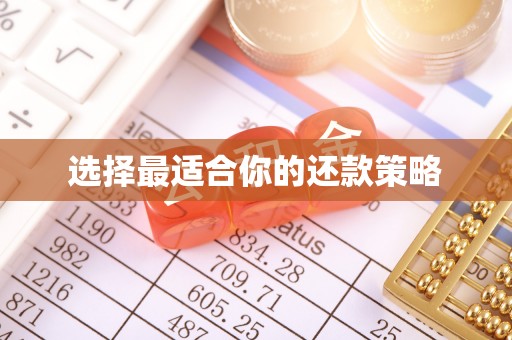隆昌选择最适合你的还款策略